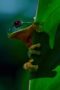 Nonton Film Earthsounds Season 1 Episode 1 Terbaru Nonton Film Earthsounds Season 1 Episode 1 Terbaru